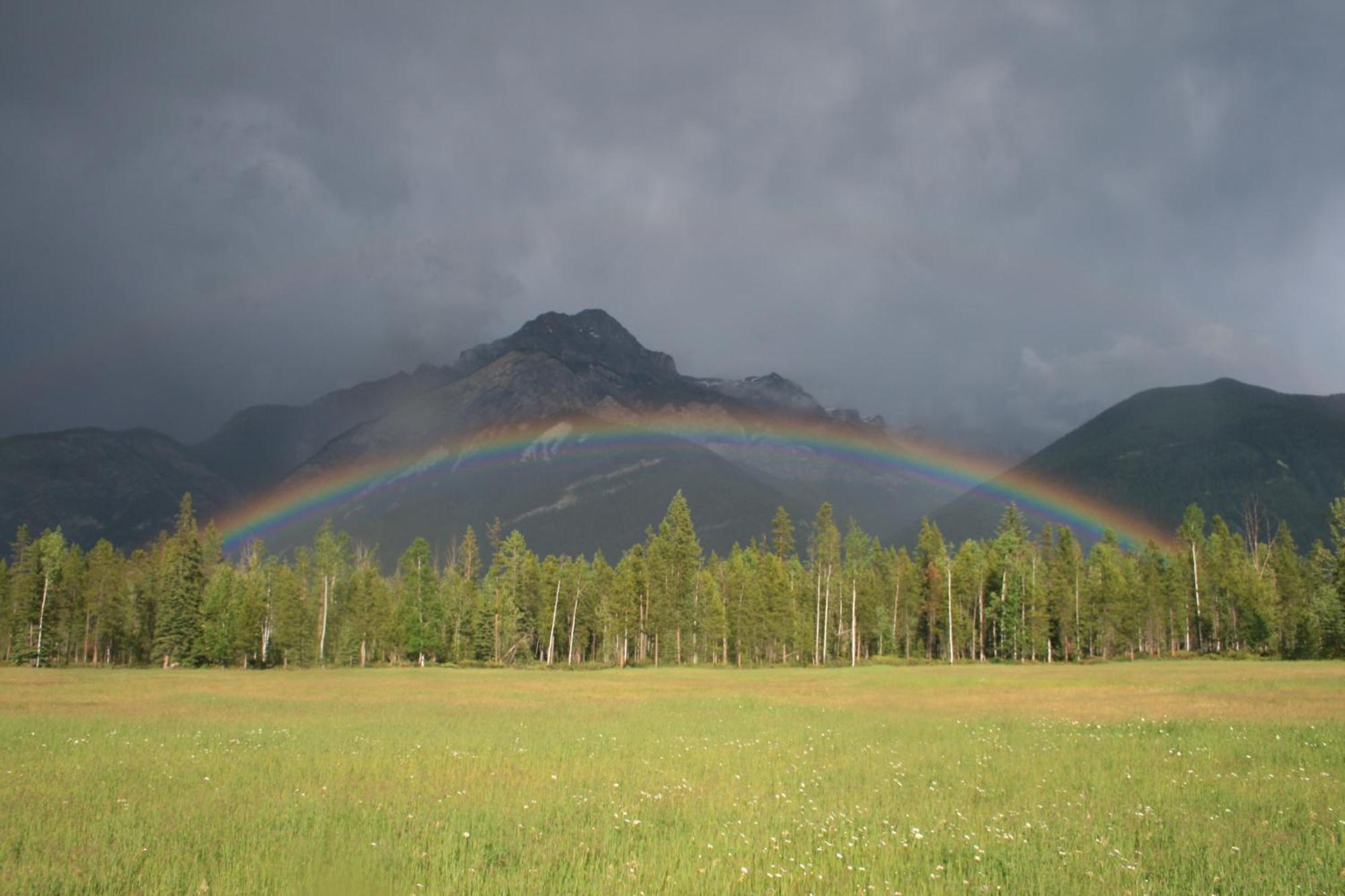 Rocky Mountain Cabins And Home غولدن المظهر الخارجي الصورة
