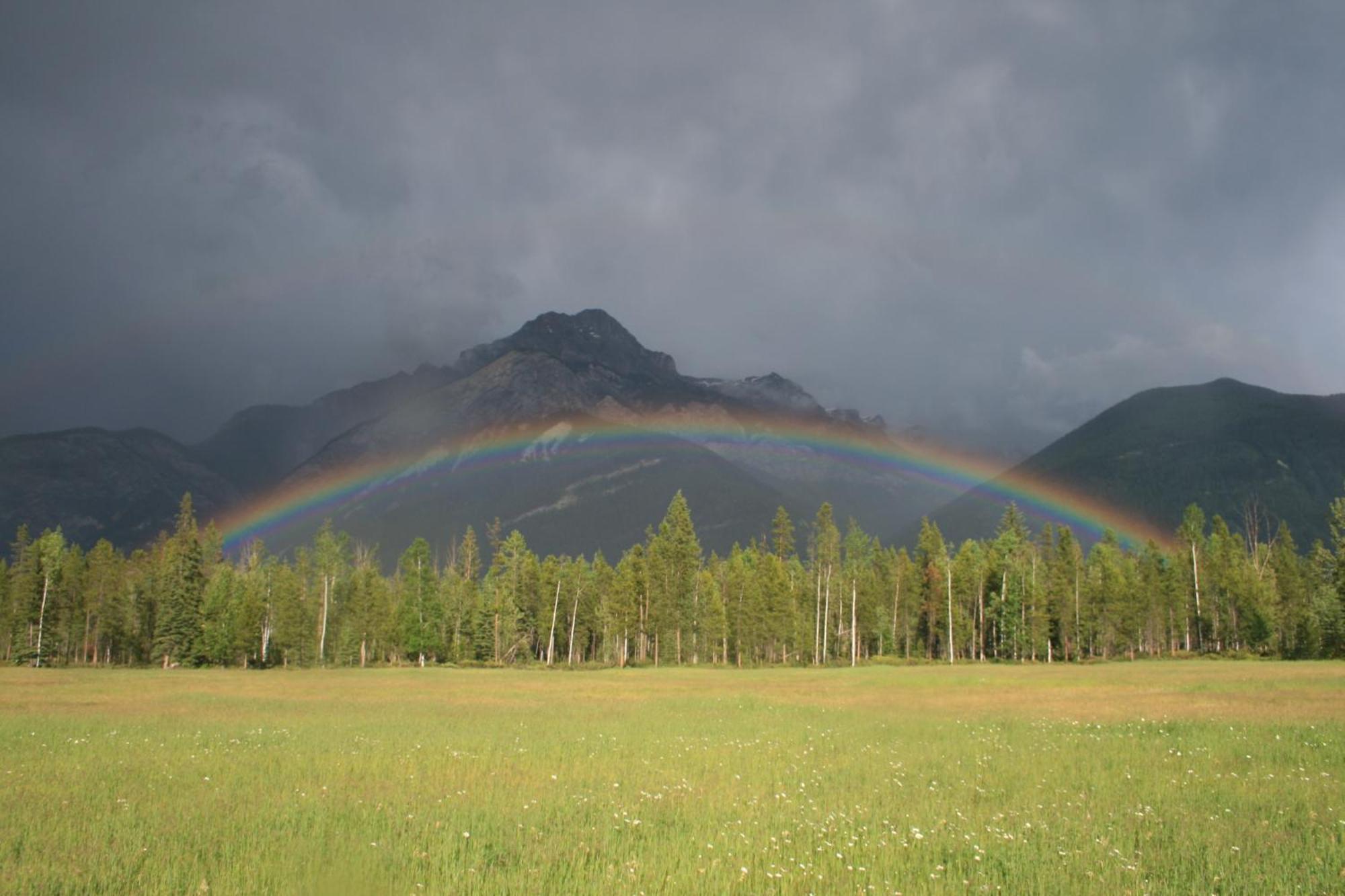 غولدن Rocky Mountain Cabins And Home المظهر الخارجي الصورة