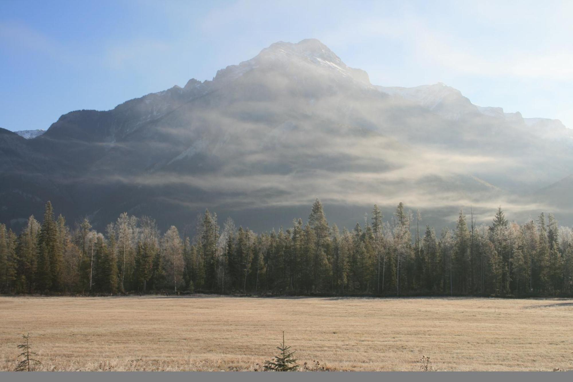 غولدن Rocky Mountain Cabins And Home المظهر الخارجي الصورة